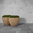 Natural-Cubic-Maxima-1.jpg