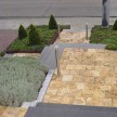 Apricot-Gold-tegels-2.jpg