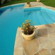 Florida-flagstones-11.jpg