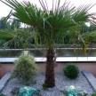 Glasbrokken-turquoise-1.jpg