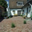 Jardino-novoton-getrommeld-11.jpg