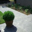 Spotted-Bluestone-tegels-1.jpg