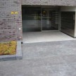 Spotted-Bluestone-tegels-19.jpg