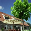 Spotted-Bluestone-tegels-44.jpg