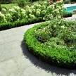 Spotted-Bluestone-tegels-51.jpg