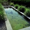Spotted-bluestone-vijverranden-7.jpg