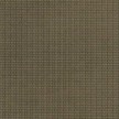 Techlam-Zahir-Olive.jpg