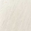 albino-light.jpg