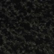 alexander-black.jpg
