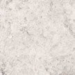 silvery-white-geborsteld.jpg