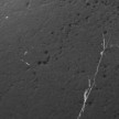 technoclassic-nero-marquino-geborsteld.jpg