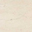 tigre-beige.jpg