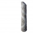 Spotted-Blue-Column-rond.jpg