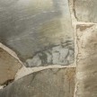 flagstones-forest.jpg