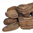 tiger's-eye-mixed-8-15.jpg